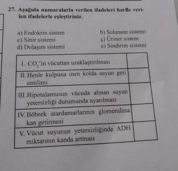 27. Aşağıda numaralarla verilen ifadeleri harfle veri-
len ifadelerle eşleştiriniz.
a) Endokrin sistem
c) Sinir sistemi
d) Dolaşım sistemi
b) Solunum sistemi
ç) Üriner sistem
e) Sindirim sistemi
I. CO₂'in vücuttan uzaklaştırılması
II. Henle kulpuna inen kolda suyun geri
emilimi
III. Hipotalamusun vücuda alınan suyun
yetersizliği durumunda uyarılması
IV. Böbrek atardamarlarının glomerulusa
kan getirmesi
V. Vücut suyunun yetersizliğinde ADH
miktarının kanda artması