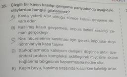 35. Çizgili bir kasın kasılıp-gevşeme periyodunda aşağıdaki
olaylardan hangisi gözlenmez?
A) Kasta yeterli ATP olduğu sürece kasılıp gevşeme de-
vam eder.
B) Kasılmış kasın gevşemesi, impuls iletimi kesildiği za-
man gerçekleşir.
9)
Kas hücrelerinin kasılması için gerekli impulslar duyu
nöronlarıyla kasa taşınır.
D) Sarkoplazmada kalsiyum derişimi düşünce aktin üze-
rindeki protein kompleksi aktifleşerek miyozinin aktine
bağlanma bölgesinin kapanmasına neden olur.
E) Kasın boyu, kasılma sırasında kısalırken kalınlığı artar.
1
3