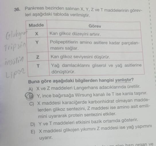 36. Pankreas bezinden salinan X, Y, Z ve T maddelerinin görev-
leri aşağıdaki tabloda verilmiştir.
Glukgro
insülin
Liper
Madde
X
Y
1
Görev
Kan glikoz düzeyini artırır.
Polipeptitlerin amino asitlere kadar parçalan-
masını sağlar.
Z
Kan glikoz seviyesini dü