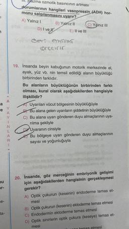 -I
n
A
a
re
bu
or-
e-
ta-
YAYINLARI
●
III. plazma ozmotik basıncının artması
durumlarının hangileri vasopressin (ADH) hor-
monu salgılanmasını uyarır?
A) Yalnız I
B) Yalnız II
D) I vegas E) II ve III
Gert emilimi
Orttirir
C) Yalnız III
19. İnsanda beyin kabuğunun motorik merkezinde el,
ayak, yüz vb. nin temsil edildiği alanın büyüklüğü
birbirinden farklıdır.
A)
Bu alanların büyüklüğünün birbirinden farklı
olması, kural olarak aşağıdakilerden hangisiyle
ilişkilidir?
Uyarılan vücut bölgesinin büyüklüğüyle
BY
C)
Bu alana gelen uyarıların şiddetinin büyüklüğüyle
Bu alana uyarı gönderen duyu almaçlarının uya-
rılma şekliyle
Q
Uyaranın cinsiyle
Bu bölgeye uyarı gönderen duyu almaçlarının
sayısı ve yoğunluğuyla
ab
20. İnsanda, göz merceğinin embriyonik gelişimi
için aşağıdakilerden hangisinin gerçekleşmesi
gerekir?
A) Optik çukurun (kesenin) endoderme temas et-
mesi
B) Optik çukurun (kesenin) ektoderme temas etmesi
C) Endodermin ektoderme temas etmesi
D) Optik sinirlerin optik çukura (keseye) temas et-
mesi
no temas etmesi