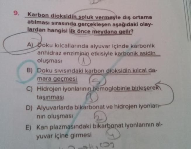 9.
Karbon dioksidin soluk vermeyle dış ortama
atılması sırasında gerçekleşen aşağıdaki olay-
lardan hangisi ilk önce meydana gelir?
A) Doku kılcallarında alyuvar içinde karbonik
anhidraz enziminin etkisiyle karbonik asidin
oluşması
B) Doku SIVISındaki karb