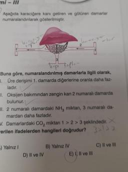 mi-III
Aşağıda karaciğere kanı getiren ve götüren damarlar
numaralandırılarak gösterilmiştir.
topl
Buna göre, numaralandırılmış damarlarla ilgili olarak,
1. Üre derişimi 1. damarda diğerlerine oranla daha faz-
ladır.
) Yalnız I
harcizo
I. Oksijen bakımından zengin kan 2 numaralı damarda
bulunur.
2
II. 2 numaralı damardaki NH3 miktarı, 3 numaralı da-
mardan daha fazladır.
V. Damarlardaki CO₂ miktarı 1 > 2> 3 şeklindedir. X
erilen ifadelerden hangileri doğrudur?
3>122
D) II ve IV
B) Yalnız IV
E) I, II ve III
C) II ve III