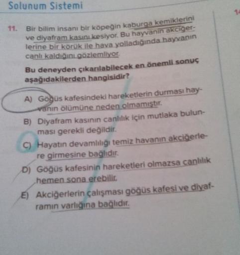 Solunum Sistemi
11.
Bir bilim insanı bir köpeğin kaburga kemiklerini
ve diyafram kasını kesiyor. Bu hayvanın akciğer
lerine bir körük ile hava yolladığında hayvanın
canlı kaldığını gözlemliyor.
Bu deneyden çıkarılabilecek en önemli sonuç
aşağıdakilerden ha