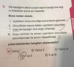 5.
Diz kapağının altına vurulan kişinin bacağı öne doğ-
ru fırladıktan sonra acı hissedilir.
Buna neden olarak;
I. Uyartıların önce omuriliğe sonra beyne geçmesi
II. Omurilikten beyne iletilen uyartıların yorumlan-
7ması ile bacağın öne doğru fırlaması
III. Duyu sinirleri ile alınan uyarıların omurilikte
yorumlanması ile acının hissedilmesi X
yukarıdakilerden hangileri söylenebilir?
A) Yalnız I
Q
B) Yalnız II
DVI ve II
C) Yalnız III
E) II ve III
BIYOLOJI