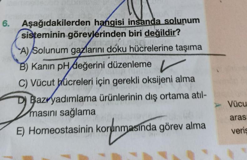 6. Aşağıdakilerden hangisi insanda solunum
sisteminin görevlerinden biri değildir?
KIDU
A) Solunum gazlarını doku hücrelerine taşıma
B) Kanın pH değerini düzenleme
C) Vücut hücreleri için gerekli oksijeni alma
Bazryadımlama ürünlerinin dış ortama atıl-
mas