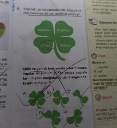 min (B)
n tek-
de ile
nır.
mek
z ya
asitli
T.
erde
usu-
bilir.
MİRAY Y
8. Şekildeki yonca yapraklarında mide ve ye-
mek borusuna ait bazı özellikler verilmiştir.
Bağ doku
Düz kas
D)
Çizgili kas
Mide ve yemek borusunda ortak bulunan
yapılar düşünüldüğünde y