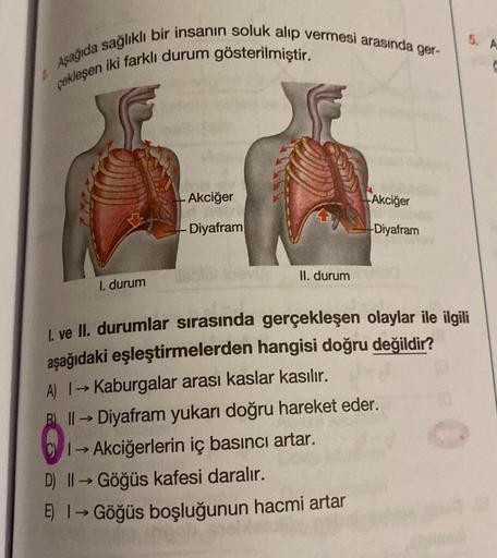 Aşağıda sağlıklı bir insanın soluk alıp vermesi arasında ger-
çekleşen iki farklı durum gösterilmiştir.
1
1. durum
Akciğer
Diyafram
II. durum
Akciğer
Diyafram
1. ve II. durumlar sırasında gerçekleşen olaylar ile ilgili
aşağıdaki eşleştirmelerden hangisi do