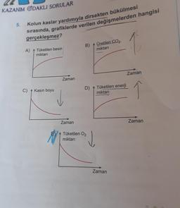 KAZANIM ODAKLI SORULAR
5.
Kolun kaslar yardımıyla dirsekten bükülmesi
sırasında, grafiklerde verilen değişmelerden hangisi
gerçekleşmez?
A) Tüketilen besin
miktarı
C) Kasın boyu
Zaman
Zaman
B)
Üretilen CO₂
miktarı
D) Tüketilen enerji
miktarı
ATüketilen O₂
miktarı
↓
Zaman
1
Zaman
Zaman