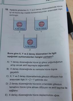 19. Aşağıda gösterilen X, Y ve Z deney düzeneklerinde hücre
içi ve hücre dışı madde konsantrasyonları arasındaki ilişki
verilmiştir.
%10
Glikoz
% 80 Glikoz
X
%30
Glikoz
%40
Glikoz
% 40 Glikoz
% 60 Glikoz
Z
Buna göre X, Y ve Z deney düzenekleri ile ilgili
aşağıdaki açıklamalardan hangisi yanlıştır?
A) Y deney düzeneğinde hücre içi glikoz yoğunluğunun
artışı ancak aktif taşımayla sağlanabilir.
B) X deney düzeneğinde su osmozla hücre dışına
geçebilir.
C) X, Y ve Z deney düzeneklerinde glikozun difüzyon hızı
arasındaki ilişki X>Z>Y şeklinde olur.
D) Z deney düzeneğinde hücrenin ortamdaki glikozun
tamamını hücre içine alması difüzyon ve aktif taşıma ile
sağlanır.
E) X deney düzeneğinde hücre deplazmolize uğrar.