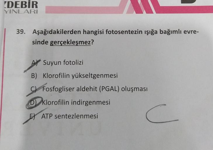 DEBİR
YINLARI
39. Aşağıdakilerden hangisi fotosentezin ışığa bağımlı evre-
sinde gerçekleşmez?
Suyun fotolizi
B) Klorofilin yükseltgenmesi
C) Fosfogliser aldehit (PGAL) oluşması
D) Klorofilin indirgenmesi.
E ATP sentezlenmesi