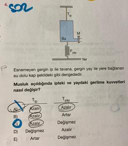 4.
A)
B)
C)
Su
D)
E)
Tip
Tip
Azalır
Azalır
Azalır
Değişmez
Artar
F.
Esnemeyen gergin ip ile tavana, gergin yay ile yere bağlanan
su dolu kap şekildeki gibi dengededir.
yay
Musluk açıldığında ipteki ve yaydaki gerilme kuvvetleri
nasıl değişir?
Tyay
M
Yer
Azalır
Artar
Değişmez
Azalır
Değişmez