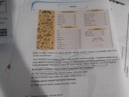 AMAMI
iDEO
16
SavAls Toet
Kangk Ret
Fast Food Mend
Sucuklı Hamurh
Nescafe
Meyvel Soda
K. Cola
K. Fanba.
TÜRKÇE
K. Meyve Suyu
Limonata.
Turk Kahvesi.
Içecekler
"Durgun bir sudur aslında deniz
300
480
4.00
4.00
0.50
0.50
0.50
0.50
LOO
0.75
LSO
150
LSO
150
150
Fast Food
Dower Lava Durum
Hamburger
Tum Ek Aran Köfte
Varum Ek Aran Köfte.
Kofte Servu
Plav Urbu Doner Servis.
Salatalar
Coban Salaban
Mevsim Salaba.
Ton Balkh Salaba.
A) Tüm ekmek arası köfte/ mevsim salata / limonata/ fanta
B) Yarım ekmek arası köfte / ton balıklı salata/ fanta / su
C) Köfte servis/karışık tosu ayran / limonata
D) Köfte servis/ balıklı salata/ limonata / fanta
200
4.00
300
3.00
4.00
Bahçe Caft
Selin ve Sare birlikte bir kafeye gitmiştir. Sipariş verdikleri yiyecek ve içeceklerle ilgili olarak
şunlar bilinmektedir:
5.00
400
Selin formuna dikkat ettiği için fast food yiyecekler tüketmemektedir. Oturdukları kafede de sa-
dece balıklı bir yiyecek yemiştir. Ayrıca asla asitli içecek içmemektedir. Sare ise et olarak sadece
köfte yemektedir. Yanında da soğuk bir içecek almıştır. Hesap olarak da 12.00 tl ödemişlerdir.
Buna göre verdikleri sipariş listesi aşağıdakilerden hangisidir?
hangisi bu atasözlerindeki altı çizili sözcüklerin karşladig
uşmeyen yorulur.
-ıdakilerden
biri değildir?