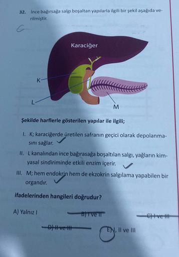 32.
ince bağırsağa salgı boşaltan yapılarla ilgili bir şekil aşağıda ve-
rilmiştir.
K-
Karaciğer
Şekilde harflerle gösterilen yapılar ile ilgili;
I. K; karaciğerde üretilen safranın geçici olarak depolanma-
sını sağlar.
II. L kanalından ince bağırasağa boş