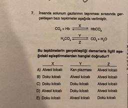 7. İnsanda solunum gazlarının taşınması sırasında ger-
çekleşen bazı tepkimeler aşağıda verilmiştir.
X
HbCO,
H₂
HỌCO, CO, HO
+
CO₂ + Hb
Y
Z
Bu tepkimelerin gerçekleştiği damarlarla ilgili aşa-
ğıdaki eşleştirmelerden hangisi doğrudur?
Y
Kan plazması
Alveol kılcalı
Doku kılcalı
Doku kılcalı
Alveol kılcalı
X
A) Alveol kılcalı
B) Doku kılcalı
C) Doku kılcalı
D) Alveol kılcalı
E) Doku kılcalı
Z
Alveol kılcalı
Alveol kılcalı
Alveol kılcali
Alveol kılcalı
Doku kılcali
I
C
H