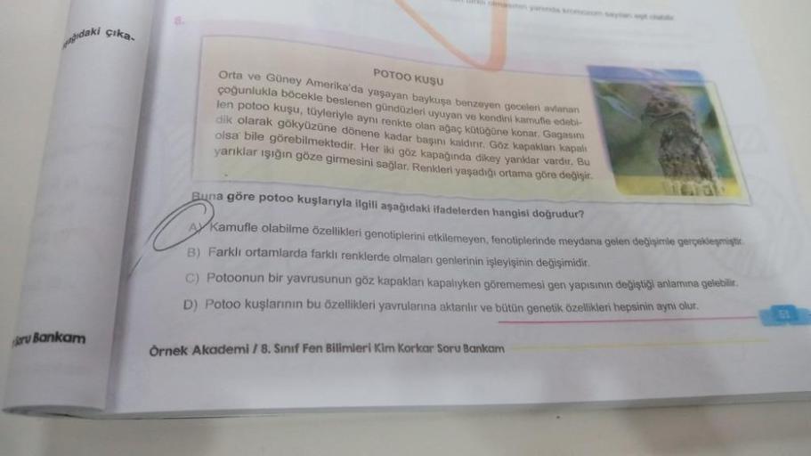 çıka
gidaki
Soru Bankam
POTOO KUŞU
Orta ve Güney Amerika'da yaşayan baykuşa benzeyen geceleri avlanan
çoğunlukla böcekle beslenen gündüzleri uyuyan ve kendini kamufle edebi-
len potoo kuşu, tüyleriyle aynı renkte olan ağaç kütüğüne konar, Gagasını
dik olar
