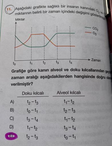 (11. Aşağıdaki grafikte sağlıklı bir insanın kanındaki O₂ ve
miktarının belirli bir zaman içindeki değişimi gösterilmiştir
Miktar
A)
B)
C)
D)
Doku kılcalı
I
t₂-t3
to-t₁
t3-14
t₁-t₂
t₂-t3
to
t₁
t2
t3
Grafiğe göre kanın alveol ve doku kılcallarından geçi
zam