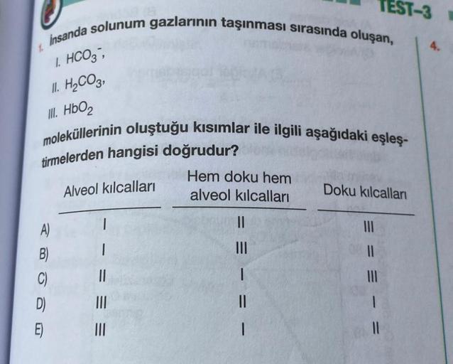 Insanda solunum gazlarının taşınması sırasında oluşan,
1. HCO3,
II. H₂CO3,
1.
III. HbO₂
moleküllerinin oluştuğu kısımlar ile ilgili aşağıdaki eşleş-
tirmelerden hangisi doğrudur?
A)
B)
C)
D)
E)
Alveol kılcalları
|
Hem doku hem
alveol kılcalları
TEST-3
||
|