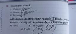 12. İnsanın sinir sistemi;
1. Endokrin sistem
II. Dolaşım ve bağışıklık
III. Duyu sistem
şeklindeki vücut sistemlerinden hangileri ile birlikte çalışarak
vücudun bütünlüğünü düzenleyen sistemi meydana getirir?
A) Yalnız I
B) I ve H
C) Tye III
D) II ve III
E)/III ve
mons
1.