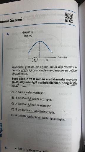 unum Sistemi ba
derspektif
4. Doğal Gögüs içi
basınç
up türe
5.
üdür.
B
BAY DA
attini oluşturan yap
Soluk alıp-verme hi
Zaman
Aunm B
Yukarıdaki grafikte bir kişinin soluk alıp vermesi si-
rasında göğüs içi basıncında meydana gelen değişim
gösterilmiştir.
B