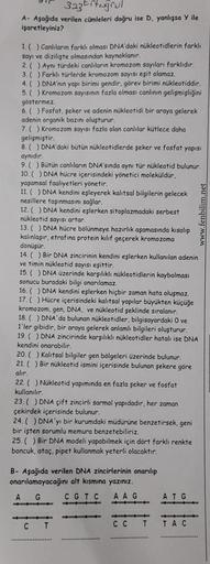 323Ertugrul
A- Aşağıda verilen cümleleri doğru ise D, yanlışsa Y ile
işaretleyiniz?
1. () Canlıların farklı olması DNA'daki nükleotidlerin farklı
sayı ve dizilişte olmasından kaynaklanır.
2. ( ) Aynı türdeki canlıların kromozom sayıları farklıdır.
3. ( ) F
