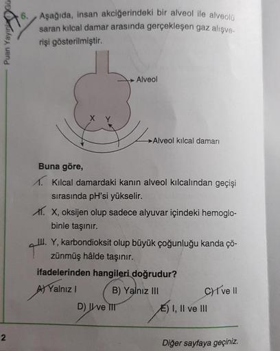 Puan Yayın
2
6. Aşağıda, insan akciğerindeki bir alveol ile alveolü
saran kılcal damar arasında gerçekleşen gaz alışve-
rişi gösterilmiştir.
Alveol
D) II ve III
Alveol kılcal damarı
Buna göre,
A. Kılcal damardaki kanın alveol kılcalından geçişi
sırasında p