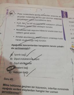 3-
220.
●
●
Soru 45:
Polar moleküllerle apolar moleküller arasında ve-
ya polar moleküller ile soy gaz atomları arasında
gerçekleşen çekim kuvvetlerine denir.
8
H₂O, NH3 ve HF'nin kaynama noktasının yüksek
olmasına neden olan etkileşim türüdür.
Molekülleri katı veya sıvı hâlde bir arada tutan kuv-
vetlerin genel adıdır.
Ametal atomlarının, elektronlarını ortaklaşa kulla-
narak oluşturduğu bağ türüdür.
Aşağıdaki kavramlardan hangisinin tanımı yukarı-
da verilmemiştir?
İyonik bağ
Dipol-indüklenmiş.dipol
B)
C) Zayıf etkileşimler
D) Kovalent bağ
E) Hidrojen bağı
DAGI
Soru 4
İnsan
Mitoz bölünme geçiren bir hücrenin, interfaz evresinde
aşağıda verilen olaylardan hangisi her zaman
gerçekleşmez?
1. Üre
II. VU
şek
A)
B