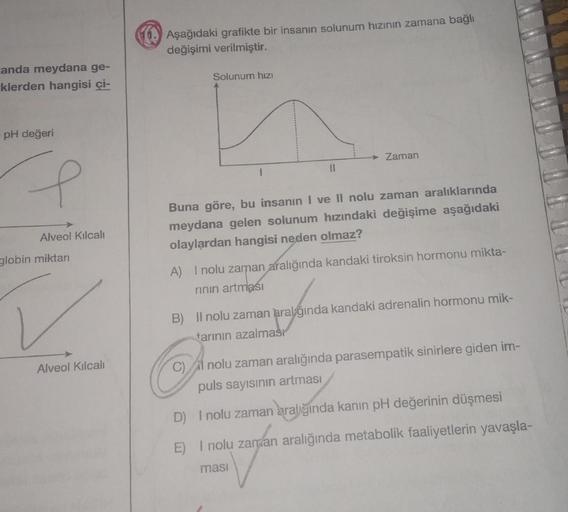 anda meydana ge-
klerden hangisi çi-
pH değeri
e
Alveol Kılcalı
globin miktarı
✓
Alveol Kılcalı
Aşağıdaki grafikte bir insanın solunum hızının zamana bağlı
değişimi verilmiştir.
Solunum hızı
11
→→ Zaman
Buna göre, bu insanın I ve Il nolu zaman aralıklarınd