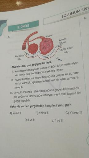 5. ÜNİTE
Atar kılcal
ucu
Alveol
H₂O
SOLUNUM SIST
D) I ve II
Alveol
kılcalı
Toplar kılcal
ucu
Alveollerdeki gaz değişimi ile ilgili,
1. Alveolden kana geçen oksijenin büyük bir kısmı alyu-
var içinde oksi hemoglobin şeklinde taşınır.
II. Alveol kılcalından