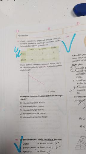 B
Fen Bilimleri
18. Çeşitli maddelerin, yaşamsal etkinliği olmayan
hücrenin içindeki ve bulunduğu çözeltideki yüzde-
leri aşağıdaki tabloda gösterilmiştir.
A vitamini
u
Hücre
Çözelti
Glikoz
5
15
B
2
II. Birincil tüketici
Protein
III. Ayrıştırıcı
3
Hücre os