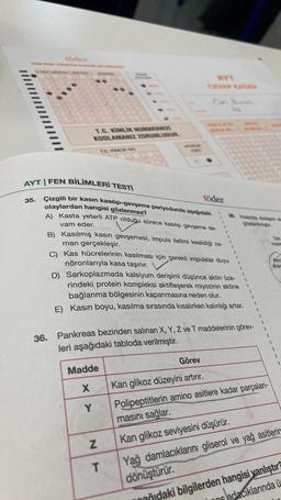 35.
T.C. KİMLİK NUMARANIZI
KODLAMANIZ ZORUNLUDUR.
AYT FEN BİLİMLERİ TESTİ
36.
T.C. KIMLIK NO
Çizgili bir kasın kasılıp-gevşeme periyodunda aşağıdaki
olaylardan hangisi gözlenmez?
A) Kasta yeterli ATP olduğu sürece kasılıp gevşeme de-
vam eder.
TORO
19
töder
V
B) Kasılmış kasın gevşemesi, impuls iletimi kesildiği za-
man gerçekleşir.
NT
Z
C) Kas hücrelerinin kasılması için gerekli impulslar duyu
nöronlarıyla kasa taşınır.
38. Insanda dolaşım sin
D) Sarkoplazmada kalsiyum derişimi düşünce aktin üze-
rindeki protein kompleksi aktifleşerek miyozinin aktine
bağlanma bölgesinin kapanmasına neden olur.
E) Kasın boyu, kasılma sırasında kısalırken kalınlığı artar.
Pankreas bezinden salinan X, Y, Z ve T maddelerinin görev-
leri aşağıdaki tabloda verilmiştir.
Madde
Görev
X
Kan glikoz düzeyini artırır.
Y Polipeptitlerin amino asitlere kadar parçalan-
masını sağlar.
Kan glikoz seviyesini düşürür.
Yağ damlacıklarını gliserol ve yağ asitlerin
dönüştürür.
Ost
topla
Akc
atare
ğıdaki bilgilerden hangisi yanlıştır?
ons adacıklarında ü