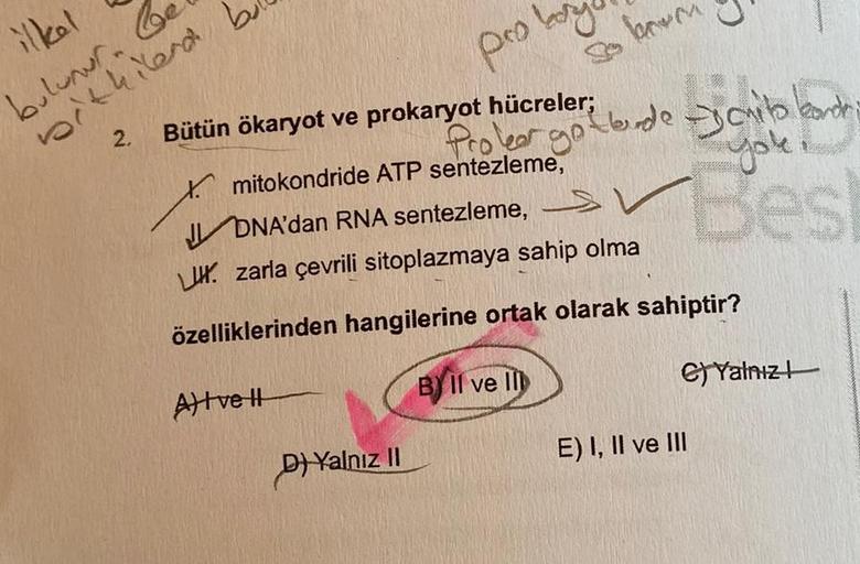 ilkal
bulunur. G
withilerd
2.
b
pro byl
Bütün ökaryot ve prokaryot hücreler;
A) vel
bewer
mitokondride ATP sentezleme,
DNA'dan RNA sentezleme,
LU. zarla çevrili sitoplazmaya sahip olma
özelliklerinden hangilerine ortak olarak sahiptir?
BIl ve Il
D) Yalnız 