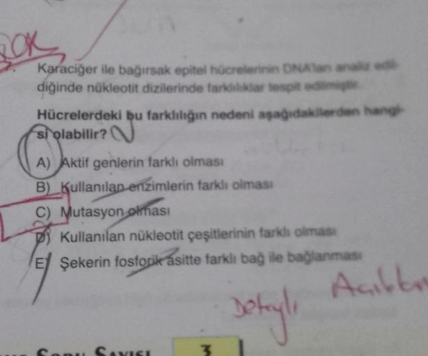 Karaciğer ile bağırsak epitel hücrelerinin DNA an analiz edi
diğinde nükleotit dizilerinde farkliliklar tespit edilmig
Hücrelerdeki bu farklılığın nedeni aşağıdakilerden hangi
si olabilir?
A) Aktif genlerin farklı olması
B) Kullanılan enzimlerin farklı olm