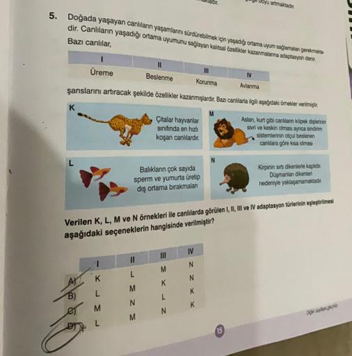 5. Doğada yaşayan canlıların yaşamlarını sürdürebilmek için yaşadığı ortama uyum sağlamalan gerekmekte
dir. Canlıların yaşadığı ortama uyumunu sağlayan kalıtsal özellikler kazanmalanna adaptasyon denir.
Bazı canlılar,
K
1
Üreme
IV
Avlanma
şanslarını artıra