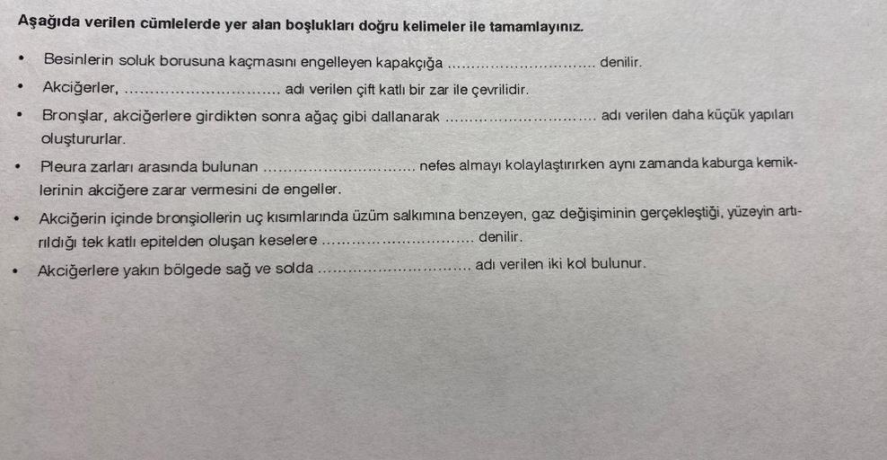 Aşağıda verilen cümlelerde yer alan boşlukları doğru kelimeler ile tamamlayınız.
Besinlerin soluk borusuna kaçmasını engelleyen kapakçığa
Akciğerler,
Bronşlar, akciğerlere girdikten sonra ağaç gibi dallanarak
oluştururlar.
8
●
adı verilen çift katlı bir za