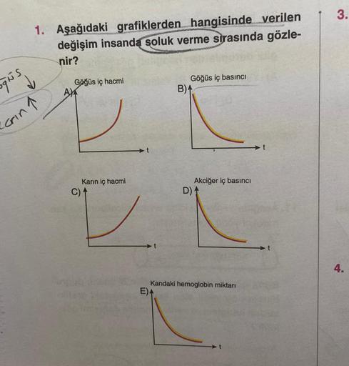 qis
S
Grin
1. Aşağıdaki grafiklerden hangisinde verilen
değişim insanda soluk verme sırasında gözle-
nir?
Göğüs iç hacmi
AX
Karın iç hacmi
C) 1
Göğüs iç basıncı
B)A
Akciğer iç basıncı
D) ₁
Kandaki hemoglobin miktarı
E)A
L
3.
4.