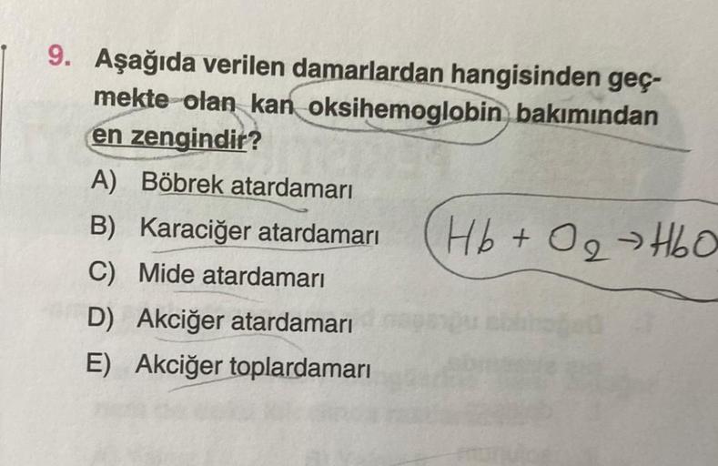 9. Aşağıda verilen damarlardan hangisinden geç-
mekte olan kan oksihemoglobin bakımından
en zengindir?
A) Böbrek atardamarı
B) Karaciğer atardamarı
C) Mide atardamarı
D) Akciğer atardamarı
E) Akciğer toplardamarı
Hb+ O₂ →H60