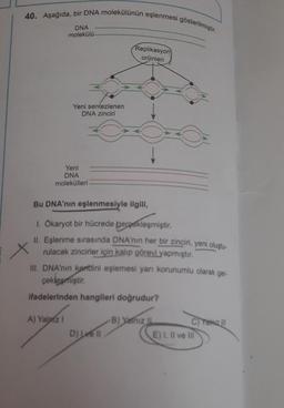 40. Aşağıda, bir DNA molekülünün eşlenmesi gösterilmiştir.
DNA
molekülü
Yeni sentezlenen
DNA zinciri
Yeni
DNA
molekülleri
Bu DNA'nın eşlenmesiyle ilgili,
1. Ökaryot bir hücrede gerekleşmiştir.
II. Eşlenme sırasında DNA'nın her bir zinciri, yeni oluştu-
rulacak zincirler için kalıp görevi yapmıştır.
A) Yalaiz 1
Replikasyon
orijinleri
III. DNA'nın kendini eşlemesi yarı korunumlu olarak ger-
çekleşmiştir.
ifadelerinden hangileri doğrudur?
D) Lell
B) Yalnız
C)Yalnız
E) I, II ve Ill