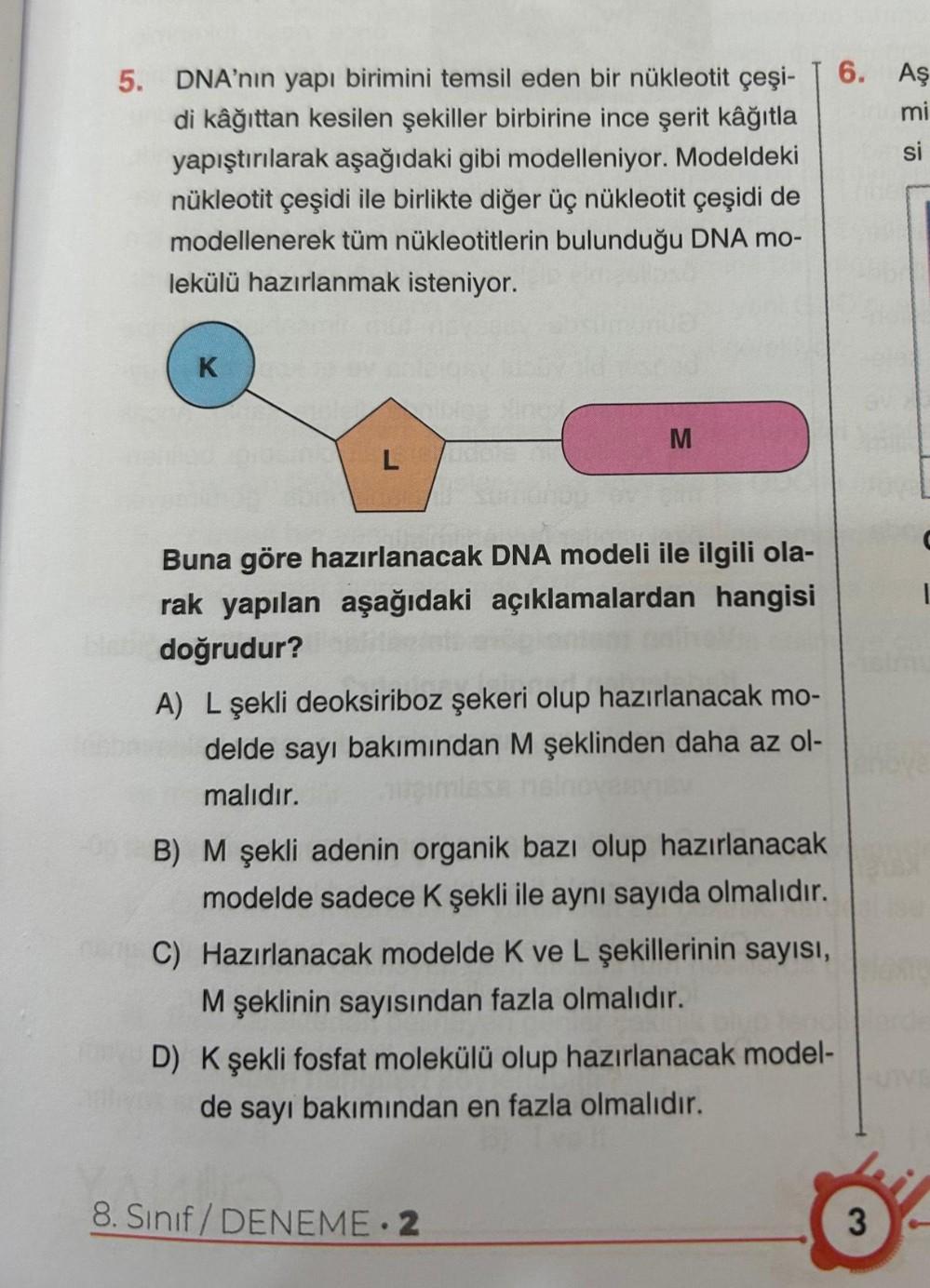 5. DNA'nın yapı birimini temsil eden bir nükleotit çeşi-
di kâğıttan kesilen şekiller birbirine ince şerit kâğıtla
yapıştırılarak aşağıdaki gibi modelleniyor. Modeldeki
nükleotit çeşidi ile birlikte diğer üç nükleotit çeşidi de
modellenerek tüm nükleotitle