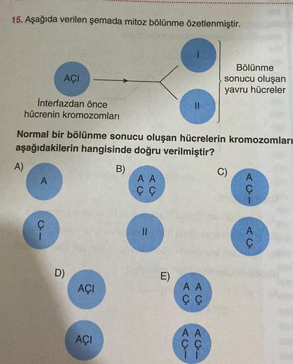 15. Aşağıda verilen şemada mitoz bölünme özetlenmiştir.
AÇI
A)
İnterfazdan önce
hücrenin kromozomları
Normal bir bölünme sonucu oluşan hücrelerin kromozomları
aşağıdakilerin hangisinde doğru verilmiştir?
B)
D)
AÇI
AÇI
A A
Ç Ç
||
E)
A A
Ç Ç
Bölünme
sonucu o