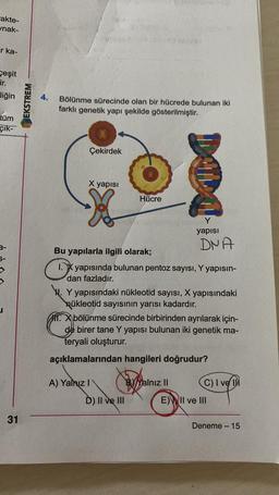 rakte-
nak-
ir ka-
ceşit
ir.
liğin
tüm
çık-
3-
31
EKSTREM
4.
Bölünme sürecinde olan bir hücrede bulunan iki
farklı genetik yapı şekilde gösterilmiştir.
Çekirdek
X yapısı
Hücre
Bu yapılarla ilgili olarak;
B yapısında bulunan pentoz sayısı, Y yapısın-
dan fazladır.
A) Yalnız I
DADA
. Y yapısındaki nükleotid sayısı, X yapısındaki
Qükleotid sayısının yarısı kadardır.
D) II ve III
yapısı
DNA
Xbölünme sürecinde birbirinden ayrılarak için-
de birer tane Y yapısı bulunan iki genetik ma-
teryali oluşturur.
açıklamalarından hangileri doğrudur?
B) Yalnız II
C) I ve
E) II ve III
Deneme - 15