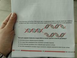 10
11. Hücre bölünmeye hazırlanırken DNA kendini eşler ve başlangıçtaki DNA'nın genetik olarak aynı özellikleri-
ne sahip iki yeni DNA molekülü oluşur. DNA kendini eşlerken bir takım olaylar belirli bir sırayla gerçekleşir.
###
O
Buna göre aşağıdaki ifadelerden hangisi DNA'nın kendini eşlemesi sırasında gerçekleşir?
A) Çekirdekte bulunan nükleotid sayısının azalması
B) Yeni oluşan DNA moleküllerinin birer zincirlerinin sonradan oluşması
C) Zincirler birbirinden ayrıldıktan sonra nükleotid çeşit sayılarının artması
D) Yeni DNA moleküllerinin sonradan oluşan zincirlerinin nükleotid dizilimlerinin birbiri ile aynı olması
23.813 SAY
18
Diğer sayfaya geçiniz.