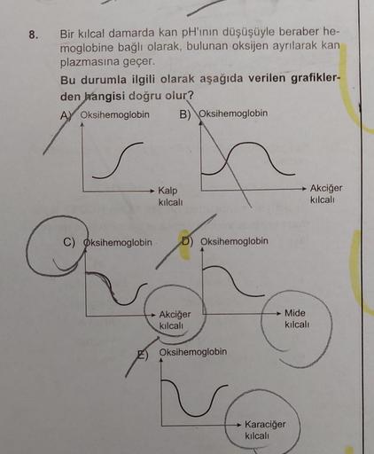 8.
Bir kılcal damarda kan pH'ının düşüşüyle beraber he-
moglobine bağlı olarak, bulunan oksijen ayrılarak kan
plazmasına geçer.
Bu durumla ilgili olarak aşağıda verilen grafikler-
den hangisi doğru olur?
A Oksihemoglobin B) Oksihemoglobin
C) Oksihemoglobin