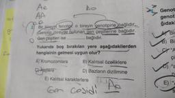 of
gº
Ć
fe
Ae
AA
Bir bireyin fenotipi, o bireyin genotipine bağlıdır.
Genotip, bireyde bulunan gen çeşitlerine bağlıdır.
Gen çeşitleri ise
bağlıdır.
Yukarıda boş bırakılan yere aşağıdakilerden
hangisinin gelmesi uygun olur?
A) Kromozomlara
B) Kalıtsal özelliklere
Atellere
D) Bazların dizilimine
'Ão
E) Kalıtsal
karakterlere
Gen Cesidi
Genot
genoti
ğıdaki
Bir
B) Bi
"A
çi
E)
n
66