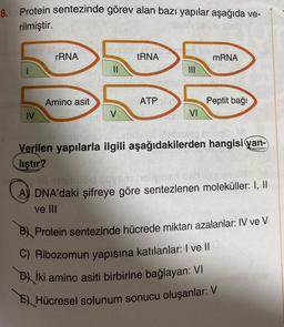 8.
Protein sentezinde görev alan bazı yapılar aşağıda ve-
rilmiştir.
|
IV
rRNA
Amino asit
||
V
tRNA
ATP 00
|||
...
VI
mRNA
Peptit bağı
ay si Beby
Verilen yapılarla ilgili aşağıdakilerden hangisi yan-
lıştır?
all empoled sovem
A) DNA'daki şifreye göre sentezlenen moleküller: I, II
ve III
BX Protein sentezinde hücrede miktarı azalanlar: IV ve V
C) Ribozomun yapısına katılanlar: I ve II
D) İki amino asiti birbirine bağlayan: VI
E Hücresel solunum sonucu oluşanlar: V