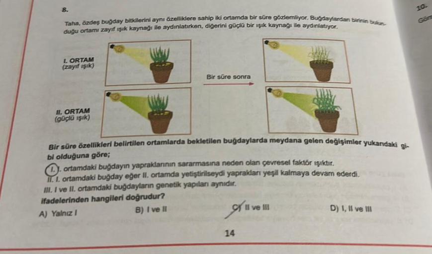 8.
Taha, özdeş buğday bitkilerini aynı özelliklere sahip iki ortamda bir süre gözlemliyor. Buğdaylardan birinin bulun
duğu ortamı zayıf ışık kaynağı ile aydınlatırken, diğerini güçlü bir ışık kaynağı ile aydınlatıyor.
I. ORTAM
(zayıf ışık)
II. ORTAM
(güçlü