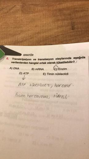 AMATÖR
6. Transkripsiyon ve translasyon olaylarında aşağıda
verilenlerden hangisi ortak olarak, tüketilebilir?
A) DNA
B) mRNA
D) ATP
C) Enzim
E) Timin nükleotidi
ATP tüketilmez, harcanır.
Enzim harcanmaz, tüketili