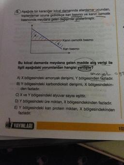 Aşağıda bir karaciğer kılcal damanında atardamar ucundan,
toplardamar ucuna gidildikçe kan basıncı ve kanın ozmotik
basıncında meydana gelen değişimler gösterilmiştir.
Kanın osmotik basıncı
KIL
Kan basıncı
Bu kılcal damarda meydana gelen madde alış verişi ile
ilgili aşağıdaki yorumlardan hangisi yanlıştır?
HIZ YAYINLARI
BT
amonyak o
A) X bölgesindeki amonyak derişimi, Y bölgesinden fazladır.
B) Y bölgesindeki karbondioksit derişimi, X bölgesindekin-
den fazladır.
C) X ve Y bölgesindeki alyuvar sayısı eşittir.
D) Y bölgesindeki üre miktarı, X bölgesindekinden fazladır.
E) Y bölgesindeki kan protein miktan, X bölgesindekinden
fazladır.
102