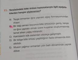 11. Yeryüzündeki bitki örtüsü topluluklarıyla ilgili aşağıda-
kilerden hangisi söylenemez?
A) Tayga ormanları iğne yapraklı ağaç formasyonundan
oluşur.
B) Bir dağ yamacı boyunca bitki örtüsünün geniş, karışık
ve iğne yapraklı olmak üzere kuşaklar oluşturmasında
temel etken yağış miktarıdır.
C)
Kaktüslerin kök sistemleri oldukça gelişmiştir.
D) Bir bölge bitki örtüsü çeşitliliğinin fazla olmasında iklim
etkilidir.
E) Muson yağmur ormanları yılın belli döneminde yaprak
döker.