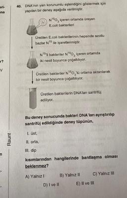 eri-
na
r?
v
Raunt
40. DNA'nın yarı korunumlu eşlendiğini göstermek için
yapılan bir deney aşağıda verilmiştir.
Üretilen E.coli bakterilerinin hepsinde azotlu
bazlar N15 ile işaretlenmiştir.
N¹50, içeren ortamda üreyen
E.coli bakterileri
Üretilen bakteriler N¹50'lü ortama aktarılarak
bir nesil boyunca çoğaltılıyor.
1. Üst,
N15¹ li bakteriler N¹40, içeren ortamda
iki nesil boyunca çoğaltılıyor.
II. orta,
III. dip
Bu deney sonucunda bakteri DNA'ları ayrıştırılıp
santrifüj edildiğinde deney tüpünün,
Üretilen bakterilerin DNA'ları santrifüj
ediliyor.
kısımlarından hangilerinde bantlaşma olması
beklenmez?
A) Yalnız I
D) I ve II
B) Yalnız II
C) Yalnız III
E) II ve III