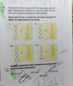 22
4. Hücre bölünmesi öncesinde DNA eşlenmesi gerçek-
leşir. Replikasyon denilen bu olay ana DNA zincirle-
rinin kendi eşlerini yapması ile gerçekleşir.
1
Buna göre K ve L olarak iki zincirden oluşan bir
DNA nın eşlenmesi sonucunda;
1)
II)
III)
XXXX
KL
XxXxXxx
+
XxXxX
KL
LL
IV)
Highe
Ive
KK
KK
KK
E) Il ve IV
xxxxX
LL
şeklinde gösterilen DNA modellemelerinden han-
gileri meydana gelebilir?
A) Yalnız
B) I vel
20
C) II ve III
all